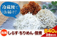 しらす ちりめん 佃煮 合計840g 3色セット「海風」 umikaze 大五海産《60日以内に出荷予定(土日祝除く)》和歌山県 日高町  しらす ちりめん 佃煮 セット 