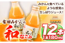 有田みかんの和 なごみ 180ml×12本入 果樹園紀の国株式会社《90日以内に出荷予定(土日祝除く)》 和歌山県 日高町 オレンジジュース みかんジュース 有田みかん100%使用 柑橘【配送不可地域あり】