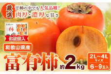 柿＜先行予約＞［厳選・産直］和歌山産 富有柿 約 2kg (化粧箱入り) (2L～4Lサイズ) 厳選館《2025年11月上旬-12月下旬頃出荷》和歌山県 日高町 柿 カキ フルーツ ジューシー