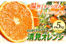＜先行予約＞とにかくジューシー 清見 オレンジ 5kg 株式会社魚鶴商店《2026年3月下旬-4月中旬頃出荷》和歌山県 日高町 柑橘 果物 フルーツ 清見オレンジ