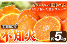 【先行予約】紀州有田産不知火( デコポン と同品種 ) 約 5kg 株式会社魚鶴《2026年2月上旬-3月中旬頃出荷》 和歌山県 日高町 不知火 しらぬい 柑橘 ご家庭用 でこぽん しらぬい 訳ありデコポン 訳あり わけあり 