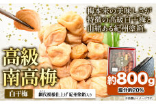 高級南高梅 白干梅 800g 網代模様仕上紀州塗箱入り 澤株式会社《90日以内に出荷予定(土日祝除く)》和歌山県 日高町 梅干し 白干梅 紀州南高梅 紀州塗 送料無料