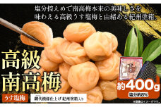 高級南高梅 うす塩 400g 網代模様仕上紀州塗箱入り 澤株式会社《90日以内に出荷予定(土日祝除く)》和歌山県 日高町 梅干し うす塩梅 紀州南高梅 紀州塗 送料無料