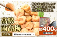 高級南高梅 白干梅 400g 網代模様仕上紀州塗箱入り 澤株式会社《90日以内に出荷予定(土日祝除く)》和歌山県 日高町 梅干し 白干梅 紀州南高梅 紀州塗 送料無料
