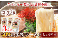 ラーメン 奇跡の米粉ラーメン 3食セット 有限会社 樽の味《30日以内に出荷予定(土日祝除く)》無添加 和歌山県 日高町 送料無料 米粉ラーメン 醤油ラーメン 無添加ラーメン しょうゆラーメン