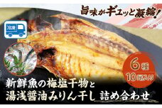 新鮮魚の梅塩干物と湯浅醤油みりん干し6品種10尾入りの詰め合わせ(和歌山近海産の新鮮魚使用) 日高町厳選館《90日以内に出荷予定(土日祝除く)》和歌山県 日高町 魚 さかな 干物 6種 10尾 さば 真あじ 太刀魚 いさぎ うおぜ さんま みりん干し 梅塩 湯浅醤油 送料無料