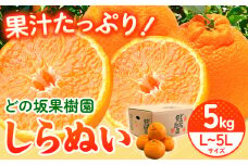 不知火 ( デコポンと同品種 ) しらぬい 約5kg (L～5Lサイズ) どの坂果樹園《2026年2月中旬-4月上旬頃出荷》 和歌山県 日高町 しらぬい 不知火 デコポン でこぽん 旬 果物 フルーツ 柑橘 産地直送 送料無料