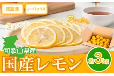 レモン 国産 レモン 3kg(L～4Lサイズ) ノーワックス 減農薬 どの坂果樹園《2026年2月上旬-5月末頃出荷》 和歌山県 日高町 レモン れもん 檸檬 旬 果物 フルーツ 柑橘 産地直送 送料無料