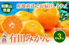 みかん 完熟有田みかん 約 3kg 有田マルシェ《11月中旬-1月上旬頃出荷予定》 和歌山県 日高町 みかん 有田 みかん 柑橘 フルーツ 完熟 ミカン 蜜柑 送料無料 st-p