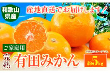 みかん ご 家庭用 完熟 有田みかん 約 5kg 有田マルシェ《10月中旬-1月上旬頃出荷予定》 和歌山県 日高町 みかん 有田みかん 柑橘 フルーツ 完熟 送料無料 訳あり みかん 蜜柑 ミカン 柑橘