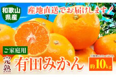 みかん ご 家庭用 完熟 有田みかん 約10kg 有田マルシェ《11月上旬-1月上旬頃出荷予定》 和歌山県 日高町 みかん 有田みかん 柑橘 フルーツ 完熟 送料無料 訳あり みかん 蜜柑 ミカン 柑橘