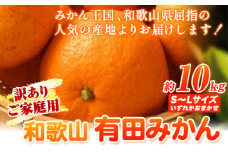 【訳あり】和歌山有田みかん 約10kg(S～Lサイズいずれかお届け） 厳選館 《11月中旬-2月上旬頃出荷予定》 和歌山県 日高町 みかん 有田みかん 柑橘 フルーツ 