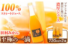 田村みかんの新鮮100％ジュース「至極の一滴」 720ml×2本入り 厳選館 《30日以内に出荷予定(土日祝除く)》 和歌山県 日高町 オレンジジュース みかんジュース フルーツジュース 田村みかん 100%使用