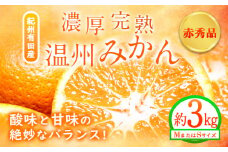 【先行予約】赤秀品　紀州有田産 濃厚完熟温州みかん 3kg(MサイズまたはSサイズ) 魚鶴商店《2026年11月下旬〜2027年1月下旬頃出荷予定》和歌山県 日高町 みかん ミカン 蜜柑 フルーツ 柑橘