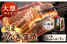 大型サイズ ふっくら柔らか国産 うなぎ 蒲焼き 1尾 化粧箱入(真空パック入) 株式会社魚鶴商店《30日以内に出荷予定(土日祝除く)》 和歌山県 日高町 うなぎ 鰻 ギフト 贈り物
