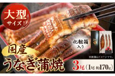 大型サイズ ふっくら柔らか国産 うなぎ 蒲焼き 3尾 化粧箱入(真空パック入) 株式会社魚鶴商店《30日以内に出荷予定(土日祝除く)》 和歌山県 日高町 うなぎ 鰻 ギフト 贈り物