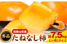 【先行予約】和歌山産たねなし柿（L〜4Lサイズおまかせ）約7.5kg・秀品 《2025年10月上旬-11月中旬頃出荷》 和歌山県 日高町 かき 種なし 柿 果物 フルーツ 青果