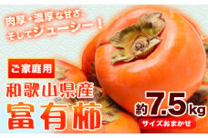 富有柿【先行予約】〈ご家庭用〉 和歌山産 富有柿 約 7.5kg 厳選館《2025年11月上旬-12月下旬頃出荷》和歌山県 日高町 柿 カキ フルーツ ジューシー