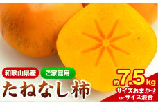 【先行予約】【秋の味覚】和歌山産の たねなし柿 ご家庭用 約7.5kg 《2025年9月上旬-11月中旬頃出荷予定》 和歌山県 日高町  かき 種なし 訳あり柿 ご家庭用柿 たねなし柿 柿 カキ
