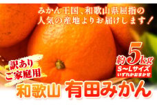 【訳あり・ご家庭用】和歌山有田みかん 5kg（S～Lサイズいずれかお届け） 厳選館 《11月中旬-2月上旬頃出荷予定》 和歌山県 日高町 みかん 有田みかん 柑橘 フルーツ 