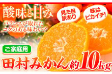 【先行予約】【ご家庭用 訳あり】田村みかん 10kg 株式会社魚鶴商店《2025年11月下旬-2026年2月上旬頃出荷》 和歌山県 日高町 柑橘 フルーツ