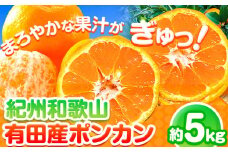 紀州和歌山有田産ポンカン5kg 株式会社魚鶴商店【2026年分先行予約】《2026年2月上旬-3月中頃出荷》和歌山県 日高町 ぽんかん フルーツ 柑橘