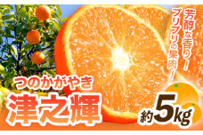 【先行予約】津之輝(つのかがやき)　約5kg 株式会社魚鶴商店《2026年2月上旬～3月中旬頃出荷予定》 和歌山県 日高町 柑橘 フルーツ