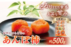 【先行予約】紀州かつらぎ山のあんぽ柿 化粧箱入 約500g 株式会社魚鶴商店《2026年1月中旬-1月末頃出荷予定》 和歌山県 日高町 かき 柿 あんぽ柿 ひらたねなし柿 紀州 かつらぎ山 ドライフルーツ