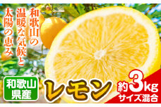 和歌山県産レモン 約3kg (サイズ混合) 厳選館 《3月中旬-6月中旬頃出荷》 和歌山県 日高町 レモン 柑橘 果物 フルーツ 送料無料