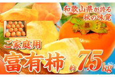 ＊先行予約＊【ご家庭用わけあり】 和歌山 秋の味覚 富有柿 約7.5kg 株式会社魚鶴商店《2025年11月上旬-12月上旬頃出荷》和歌山県 日高町 柿 富有柿 フルーツ