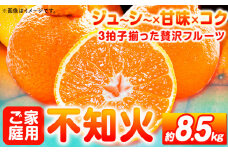 【先行予約】【ご家庭用】紀州有田産 不知火 (しらぬひ) 約8.5kg 株式会社魚鶴 《2月中旬-3月中旬頃出荷》 和歌山県 日高町 不知火 みかん 柑橘 果物 フルーツ デコポンと同品種 デコポン 訳あり不知火 訳あり 訳ありデコポン   