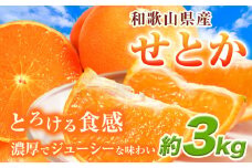 【先行予約】とろける食感!ジューシー柑橘 せとか 約3kg 魚鶴 《2月下旬-3月下旬頃出荷》 和歌山県 日高町 みかん 柑橘 果物 フルーツ 送料無料