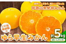 ＜みかん先行予約＞ゆら早生 みかん 約 5kg (2S～Lサイズ) どの坂果樹園《2025年10月中旬-12月上旬頃出荷予定》 和歌山県 日高町 みかん ゆら早生 旬 柑橘 フルーツ 果物 ミカン 蜜柑