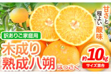 【先行予約】【産直】和歌山由良町産 の 木成り 熟成 八朔 訳あり ご家庭用 約10kg（サイズ混合）厳選館《2026年3月中旬-5月中旬頃出荷》和歌山県 日高町 柑橘 八朔 熟成