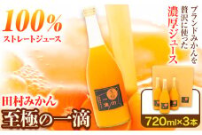 田村みかんの新鮮100％ジュース「至極の一滴」 720ml×3本入り 厳選館 《30日以内に出荷予定(土日祝除く)》 和歌山県 日高町 オレンジジュース みかんジュース フルーツジュース 田村みかん 100%使用