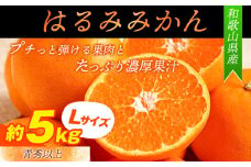 【先行予約】【厳選・濃厚】紀州有田産のはるみ約5kg(Lサイズ)《2026年1月下旬-2月中旬出荷》和歌山県 日高町 みかん はるみ 厳選 柑橘 フルーツ 送料無料