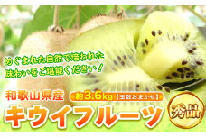 秀品 和歌山の下津で採れたキウイフルーツ約3.6kg（玉数おまかせ）日高町厳選館《2026年1月中旬-3月上旬頃出荷》和歌山県 日高 キウイ キウイフルーツ 秀品