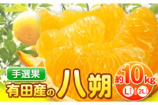 【先行予約】【手選果】有田産の八朔 10kg（Lまたは2Lサイズいずれかお届け） 厳選館 《2026年1月下旬-2月下旬出荷》和歌山県 日高町 はっさく ハッサク  八朔 柑橘 みかん フルーツ 果物