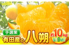 【先行予約】【手選果】有田産の八朔 10kg（SまたはMサイズいずれかお届け） 厳選館 《2026年1月下旬-2月下旬出荷》和歌山県 日高町