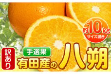 【先行予約】【手選果・訳あり】有田産の八朔 10kg（サイズ混合） 厳選館 《2026年1月下旬-2月下旬出荷》和歌山県 日高町 はっさく 訳ありはっさく ハッサク