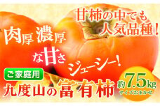 富有柿〈ご家庭用〉 柿の名産地 九度山の富有柿 約7.5kg 厳選館《2025年11月上旬-12月下旬頃出荷》和歌山県 日高町 柿 カキ フルーツ ジューシー