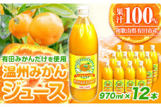 みかん ジュース 和歌山 有田産 100% 温州 みかん ジュース 970ml × 12本 セット 太千青果物《30日以内に発送予定(土日祝除く)》和歌山県 日高町 蜜柑 果汁 100％ ストレート 柑橘 果物 添加物不使用 送料無料