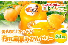 みかんゼリー 果肉 果汁 たっぷり 有田 濃厚 みかん ゼリー 24個入 太千青果物《30日以内に発送予定(土日祝除く)》和歌山県 日高町 みかん 濃厚 有田みかん 果汁 柑橘 果物 送料無料