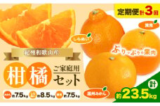 【発送月固定定期便】紀州 和歌山産 旬の ご家庭用 柑橘 セット (みかん 不知火 清見)【全３回】約23.5kg 魚鶴商店《2026年1月上旬-3月末頃出荷予定(土日祝除く)》 和歌山県 日高町 みかん 不知火 清見 オレンジ 柑橘 蜜柑 果物 フルーツ 訳あり ギフト 送料無料 定期便