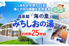 【温泉館「海の里」みちしおの湯】利用券 25枚組 日高町役場《30日以内に出荷予定(土日祝除く)》和歌山県 日高町 温泉 チケット 天然温泉 家族温泉 露天風呂
