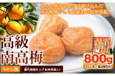 高級南高梅みかん梅 800g 網代模様仕上紀州塗箱入り 澤株式会社《90日以内に出荷予定(土日祝除く)》和歌山県 日高町 梅干し 梅 うめ ウメ 南高梅 みかん みかん梅 紀州南高梅 紀州塗 送料無料