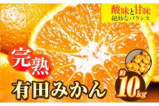 【先行予約】完熟有田みかん 10kg 株式会社魚鶴商店《2025年11月下旬-2026年2月上旬頃出荷》和歌山県 日高町 有田みかん ミカン 蜜柑 フルーツ 柑橘