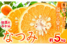 ＜先行予約＞初夏のみかん なつみ約5kg 株式会社 魚鶴商店《2026年4月中旬-4月下旬頃出荷》 和歌山県 日高町 みかん なつみ 南津海 柑橘 果物 フルーツ 送料無料