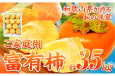 【ご家庭用訳あり】 和歌山 秋の味覚 富有柿 約3.5kg 株式会社魚鶴商店《2025年11月上旬-12月上旬頃出荷》和歌山県 日高町 柿 富有柿 フルーツ