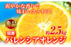 【先行予約】【秀品】希少な国産バレンシアオレンジ 2.5kg 株式会社 魚鶴商店《2026年6月下旬-7月上旬頃出荷》和歌山県 日高町 オレンジ 柑橘 フルーツ 果物